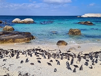 Simon's Town, Boulders Beach